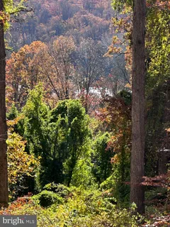 a view of outdoor space