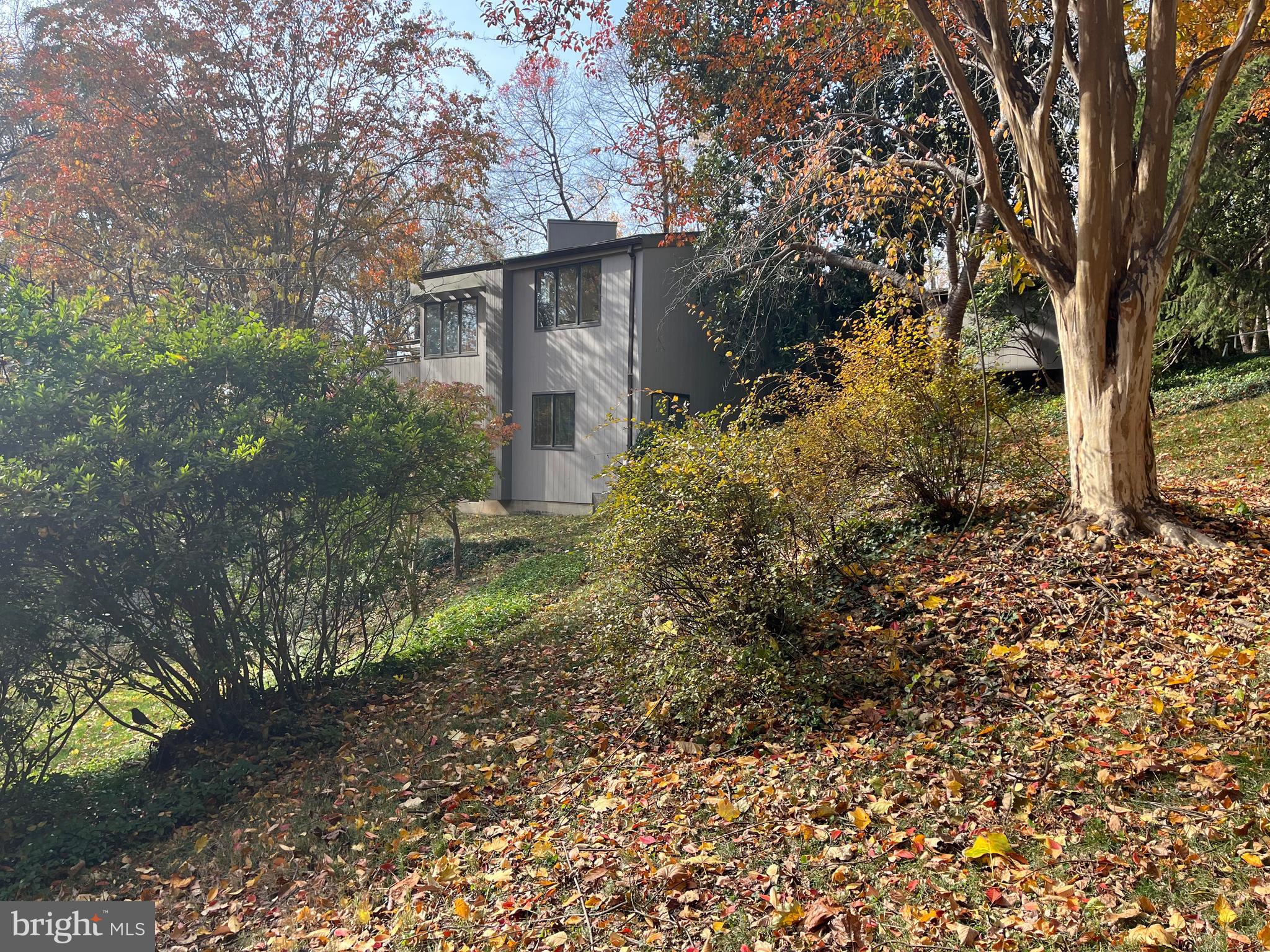 5651 Bent Branch Road Bethesda, MD 20816 - Photo 8 of 16 a view of a house with a tree