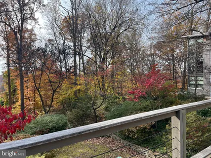 a view of a garden from a window