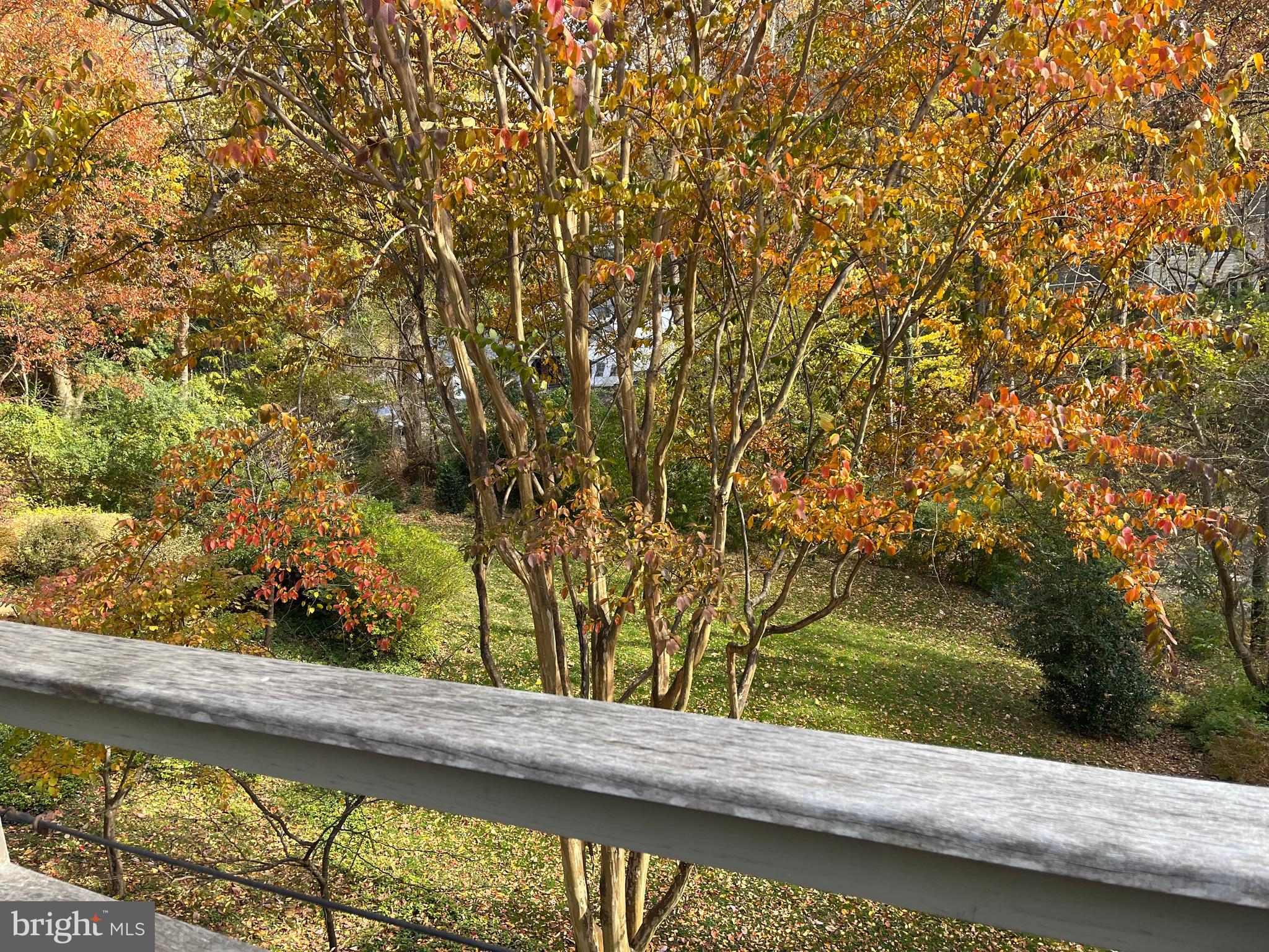 5651 Bent Branch Road Bethesda, MD 20816 - Photo 10 of 16 a view of a garden from a window