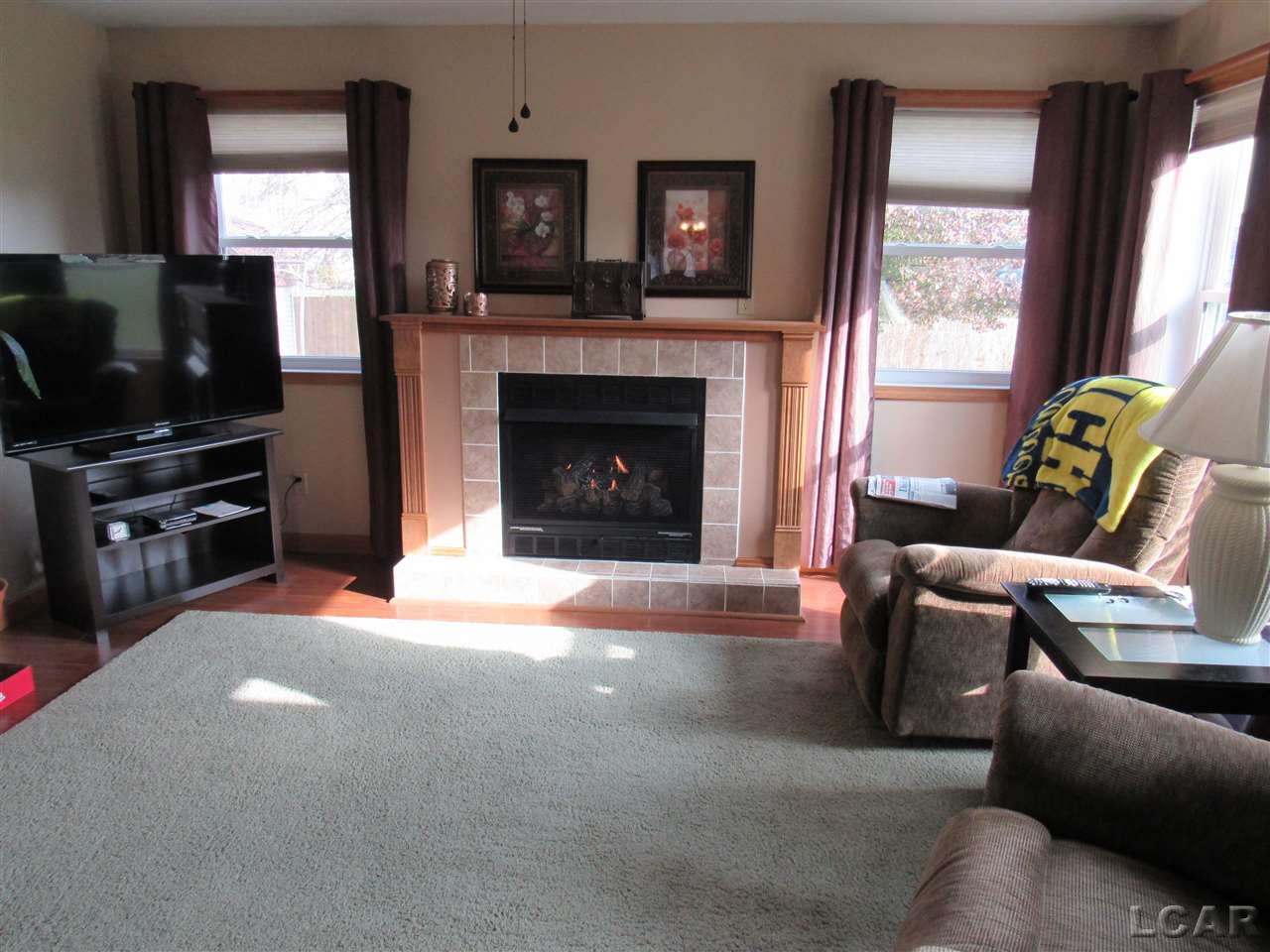 191 Joy Road Adrian, MI 49221 - Photo 22 of 46