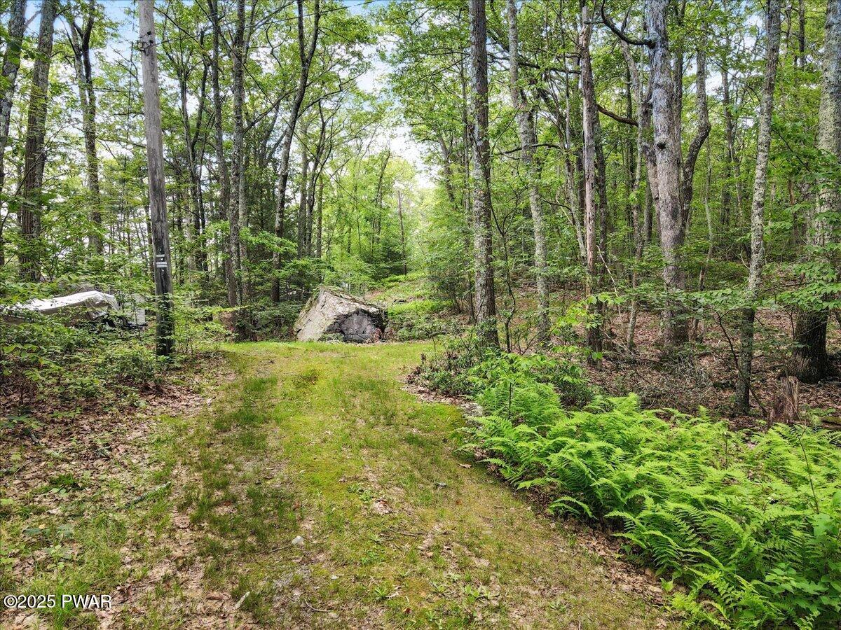 193 Old Rte 402 Dingmans Ferry, PA 18328 - Photo 43 of 60