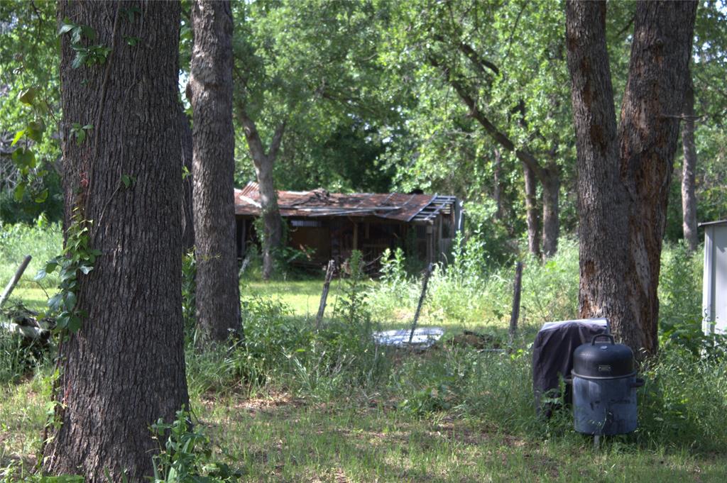 1925 Florence Road Keller, TX 76262 - Photo 5 of 14 a view of backyard with plants and a large tree