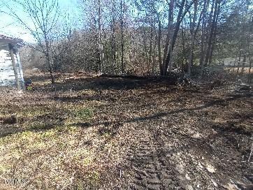 6728 Guest River Road Norton, VA 24273 - Photo 3 of 9 Guest Land 5