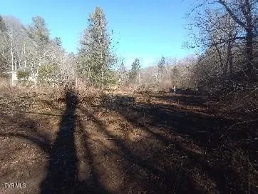 $60,000 | 6728 Guest River Road, Norton, VA 24273