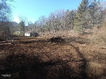 6728 Guest River Road Norton, VA 24273 - Photo 5 of 9 Guest land 7