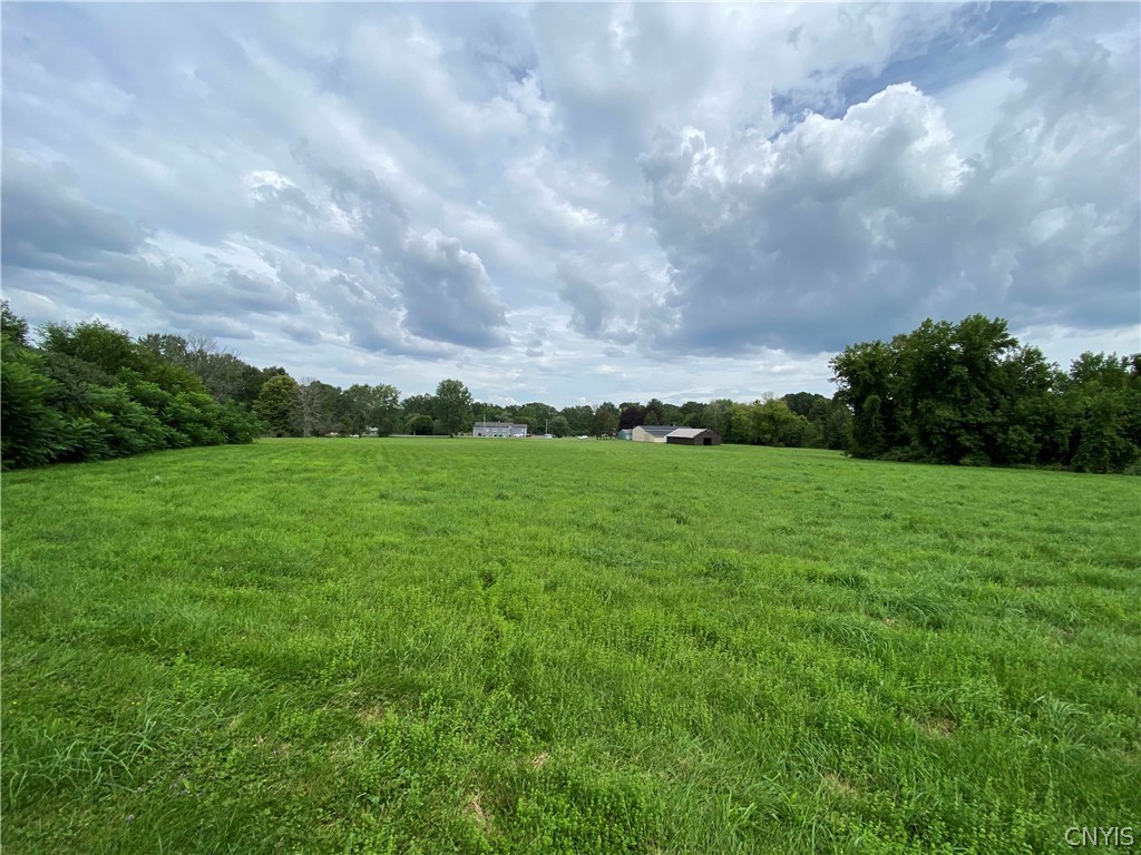 9-acres Buckley Road Liverpool, NY 13088 - Photo 1 of 10