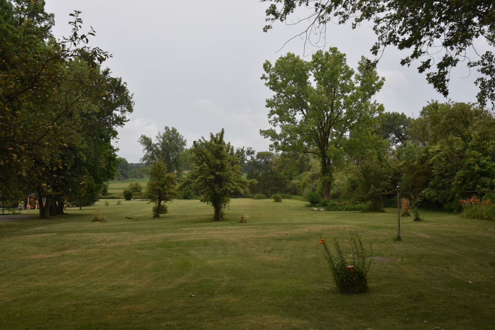 1921 East Steger Road Crete, IL 60417 - Photo 5 of 29 a view of an outdoor space