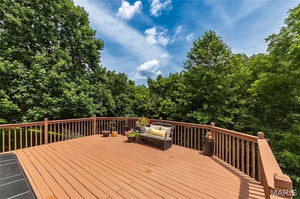 932 Cleta Drive Ballwin, MO 63021 - Photo 23 of 54