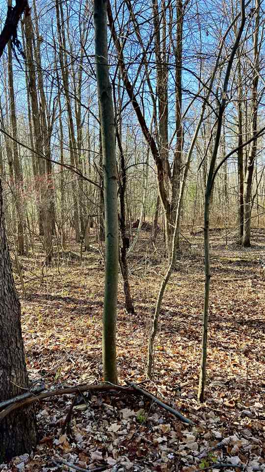 5841 Wendt Road Hope, MI 48628 - Photo 30 of 49 Gallery Image 30