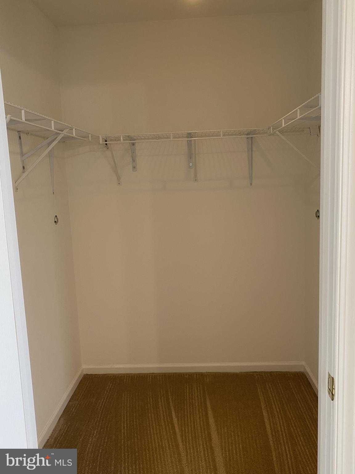 437 Worchester Drive Dover, DE 19904 - Photo 11 of 23 Large Walk in Closet