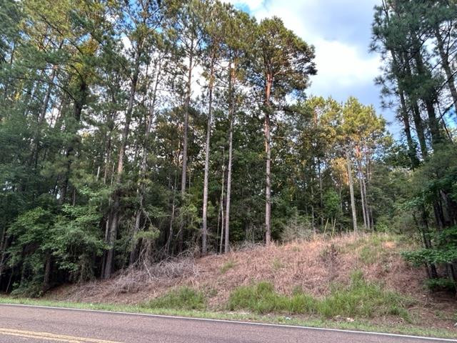 0 West Homochitto Road Meadville, MS 39653 - Photo 1 of 8 Main View