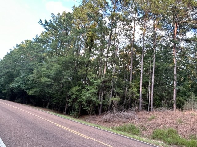 0 West Homochitto Road Meadville, MS 39653 - Photo 3 of 8 Photo 3