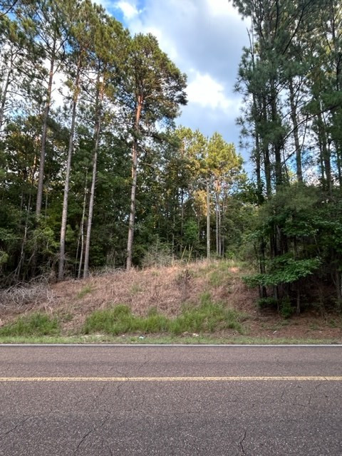 0 West Homochitto Road Meadville, MS 39653 - Photo 4 of 8 Photo 4