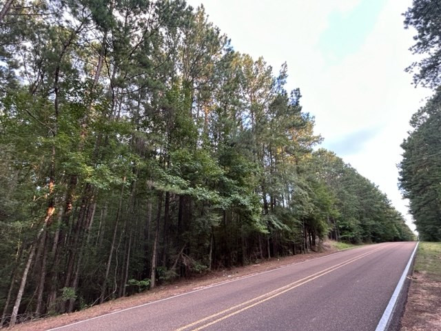 0 West Homochitto Road Meadville, MS 39653 - Photo 7 of 8 Photo 7