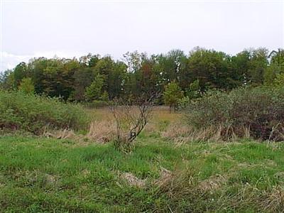 Maple Island Road, Unit PAR E Holton, MI 49425 - Photo 2 of 4 Additional Photo