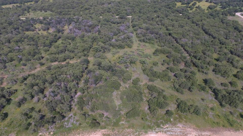 Lot 89 Paradise Oaks Perrin, TX 76486 - Photo 4 of 11 a view of a dry yard
