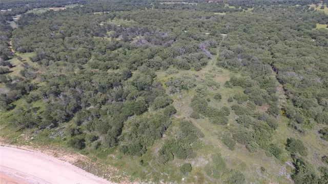 a view of a dry yard with a tree