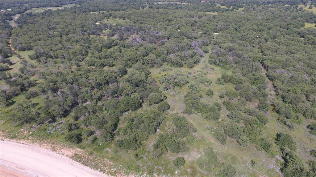 Lot 89 Paradise Oaks Perrin, TX 76486 - Photo 5 of 11 a view of a dry yard with a tree