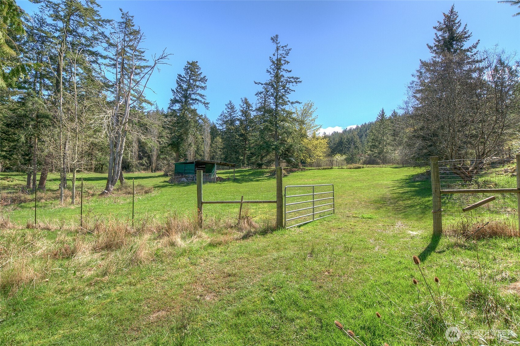 486 Wildwood Road Orcas Island, WA 98245 - Photo 2 of 37 a view of a park with large trees