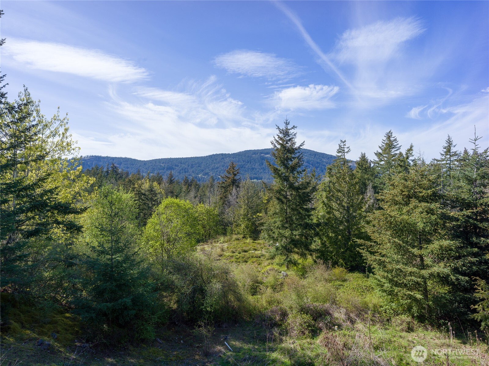 486 Wildwood Road Orcas Island, WA 98245 - Photo 32 of 37 a view of a city with lush green forest