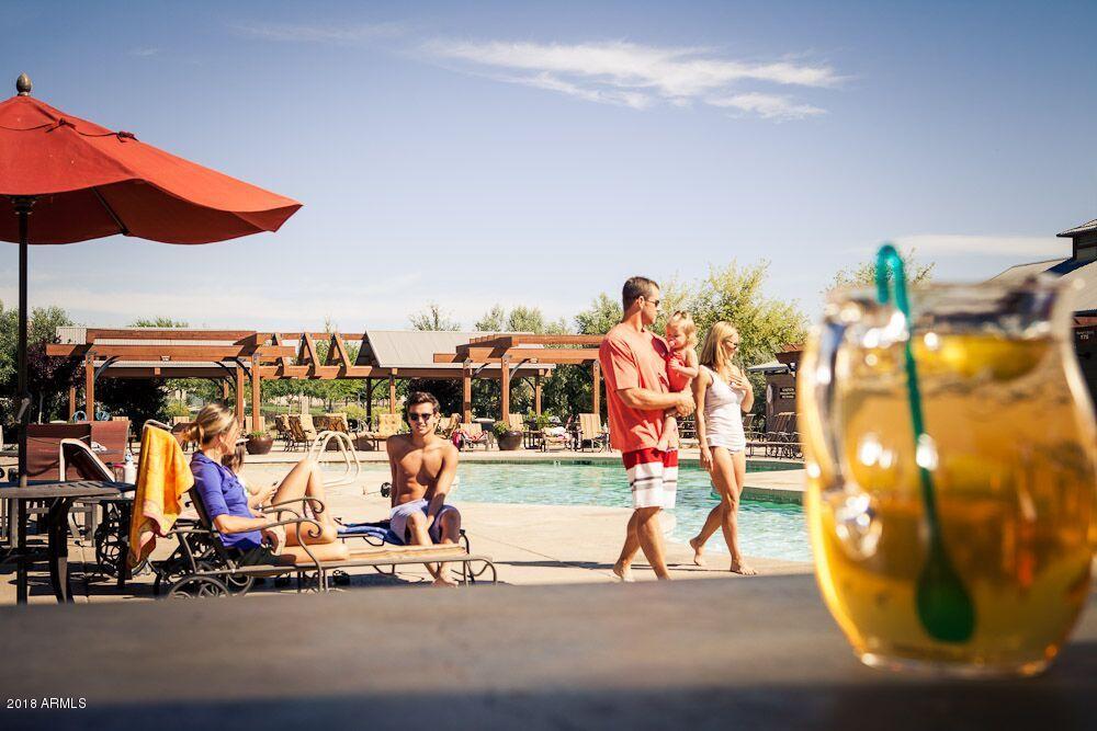 14441 West Wethersfield Road Surprise, AZ 85379 - Photo 18 of 22 1323B_Marley_Park_Images BBQ 0094_previe