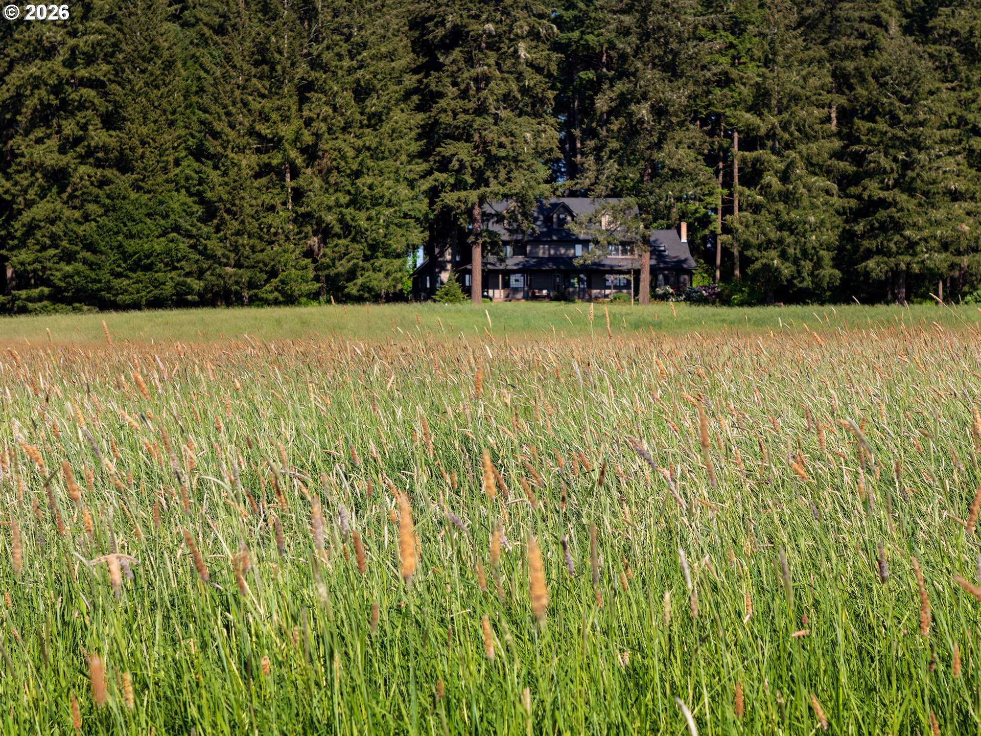 26465 Northwest West Union Road Hillsboro, OR 97124 - Photo 41 of 48