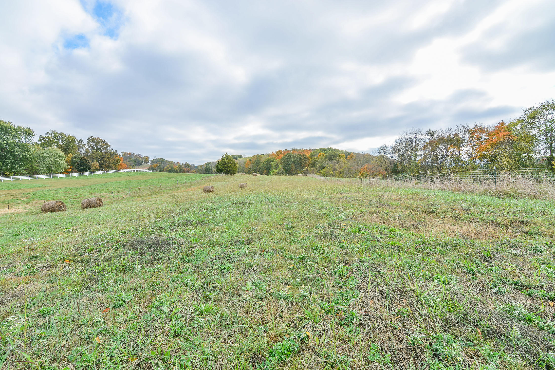 1177 Bailey Bridge Road Limestone, TN 37681 - Photo 47 of 48 1177 Bailey rear property 1