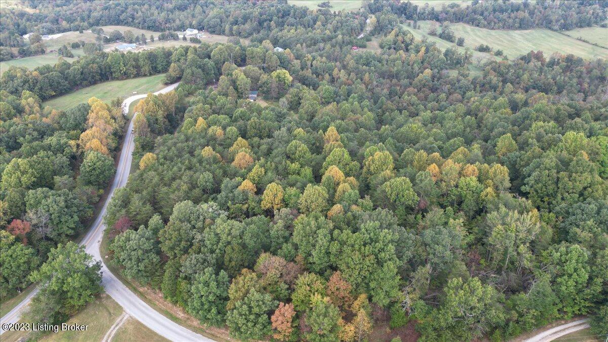 1430 Cherry Spring Road Cub Run, KY 42729 - Photo 34 of 45 34-DJI_0978