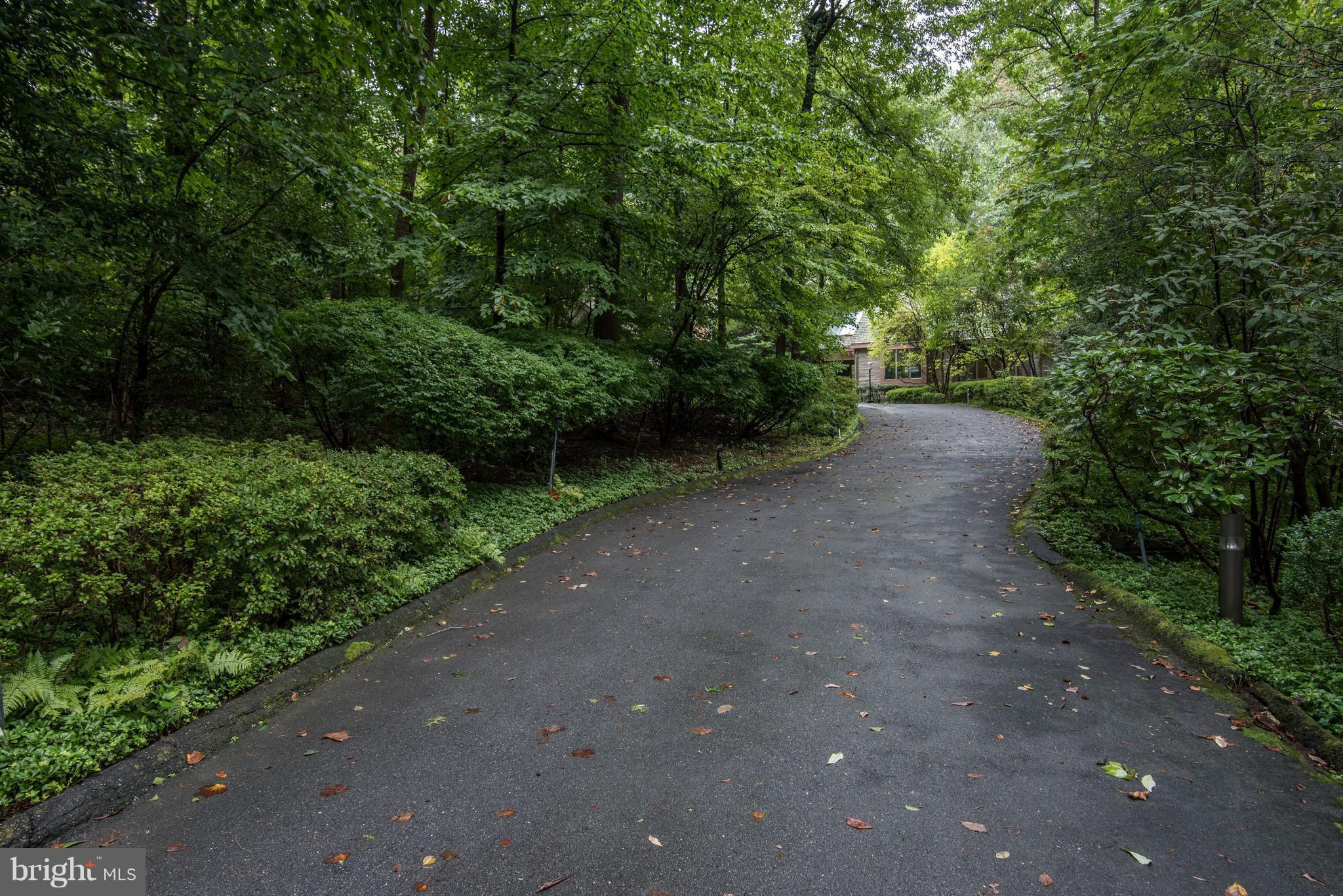 8925 Burning Tree Road Bethesda, MD 20817 - Photo 2 of 22 Private Woodsy Setting