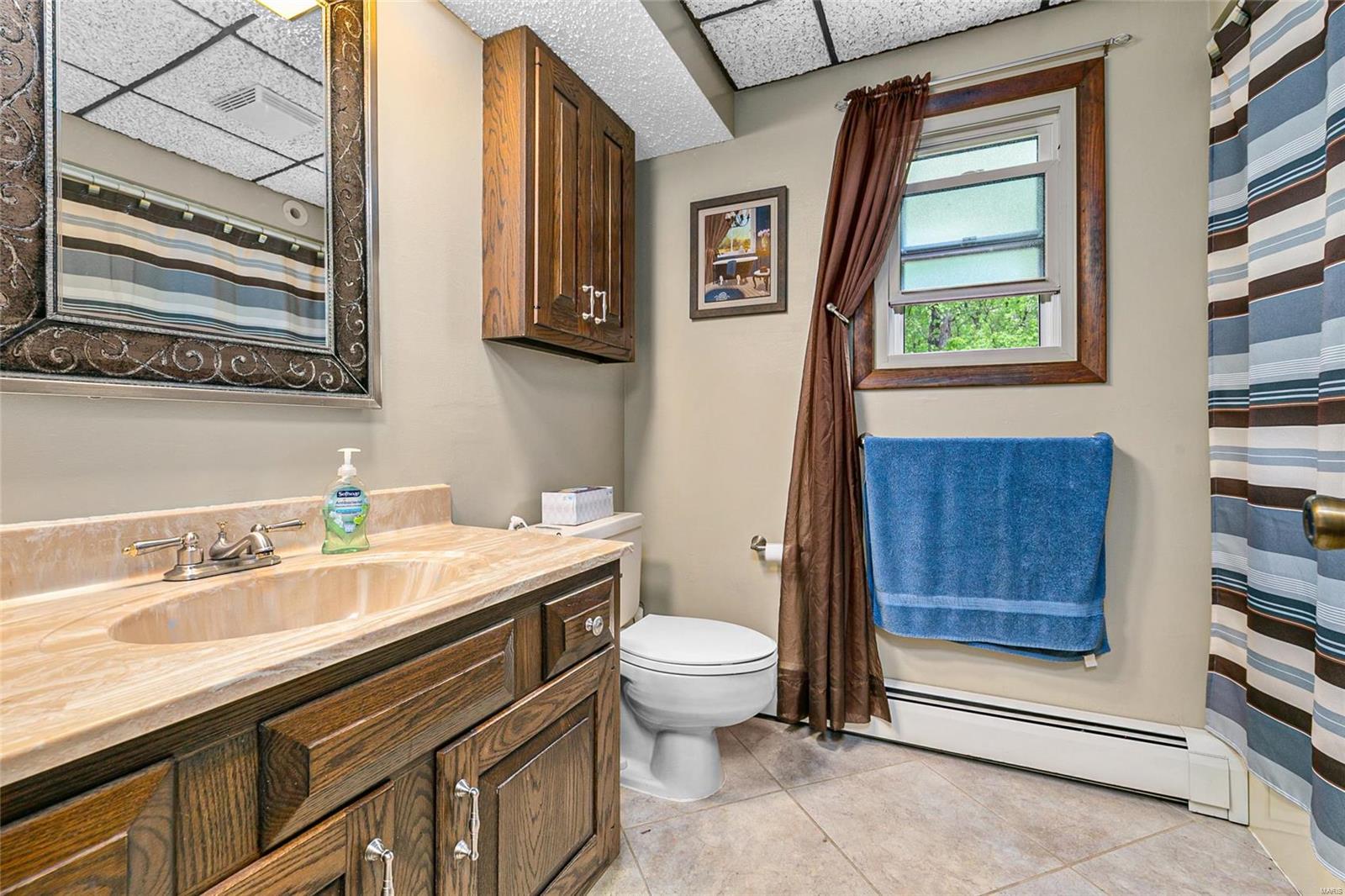 20443 Tall Timber Road Staunton, IL 62088 - Photo 23 of 44