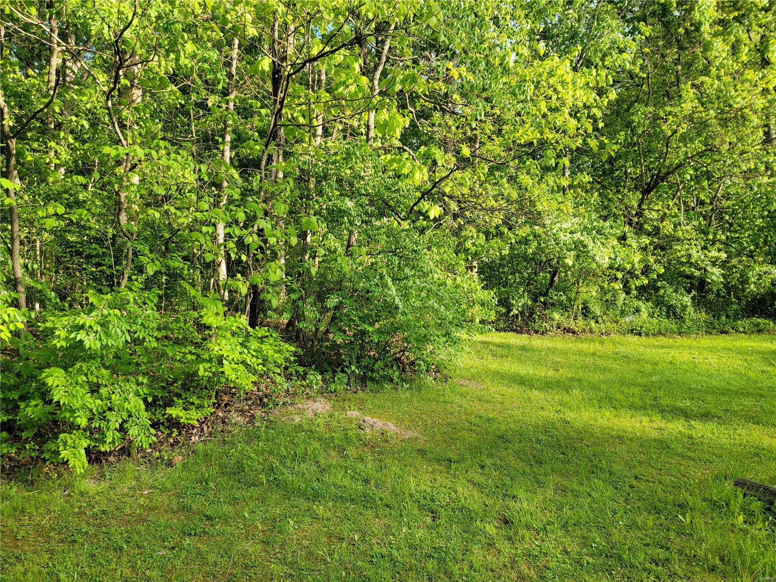 20443 Tall Timber Road Staunton, IL 62088 - Photo 33 of 44