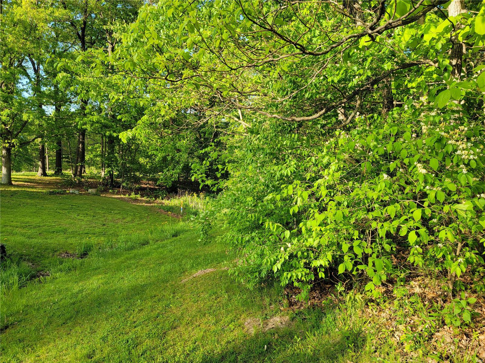 20443 Tall Timber Road Staunton, IL 62088 - Photo 34 of 44