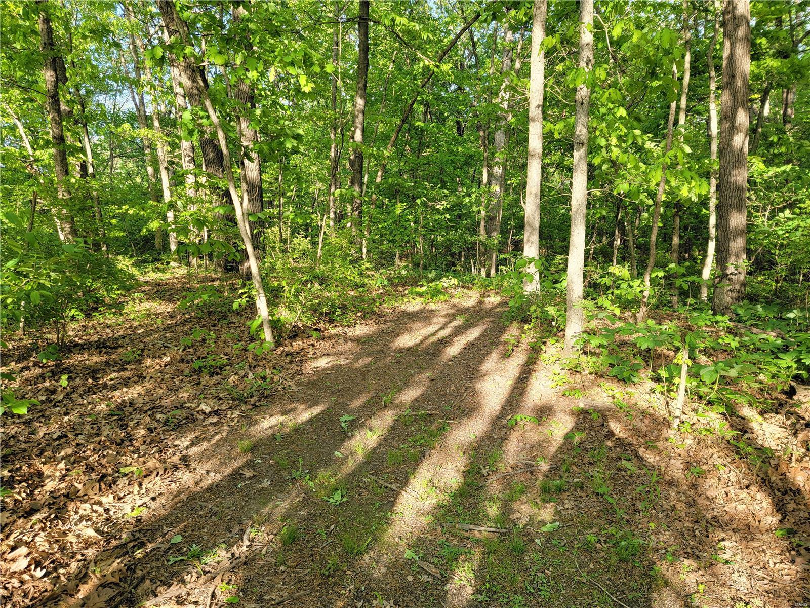20443 Tall Timber Road Staunton, IL 62088 - Photo 36 of 44