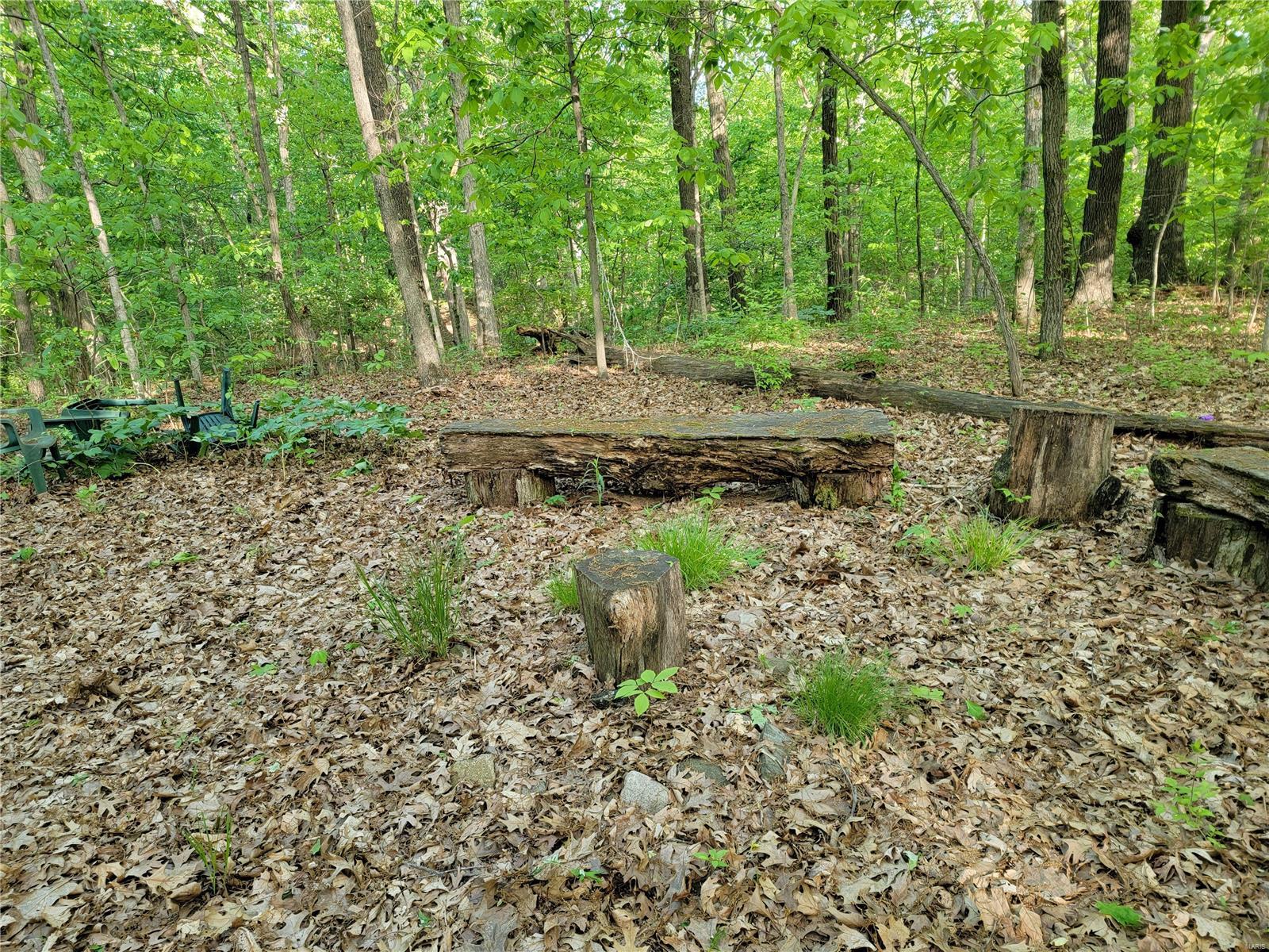 20443 Tall Timber Road Staunton, IL 62088 - Photo 40 of 44