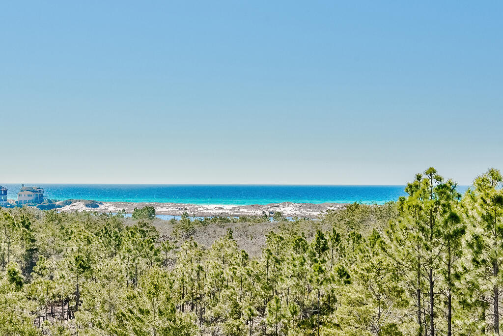 90 Sandstone Street Santa Rosa Beach, FL 32459 - Photo 2 of 73 01
