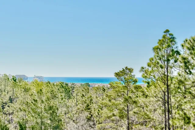 a view of a living room with furniture and wooden floor