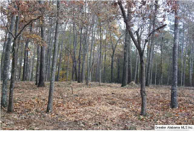 Peyton Place, Unit 3 Weaver, AL 36277 - Photo 6 of 40