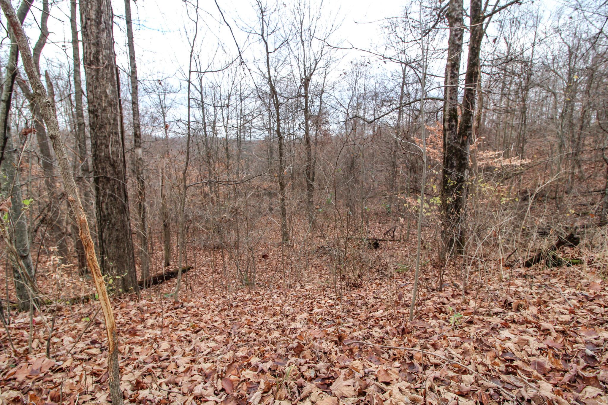 0 Virginia Ridge Road Philo, OH 43771 - Photo 7 of 29 IMG_7595