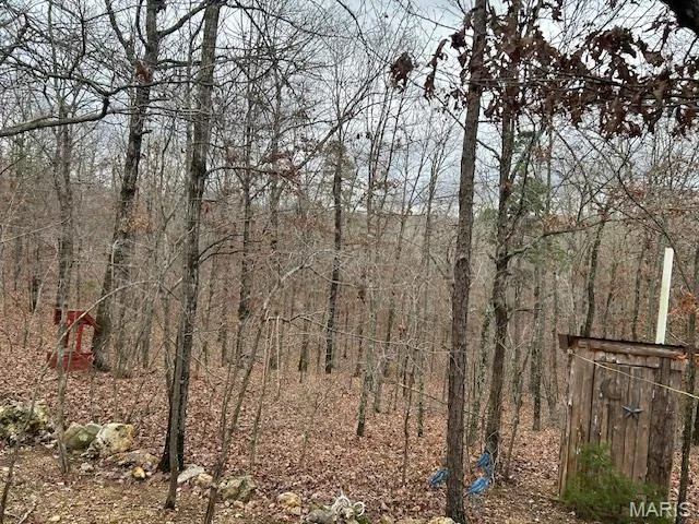 $85,000 | 1 Highway 49, Viburnum, MO 65566