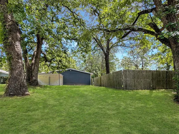 a view of backyard with tree