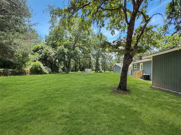 a view of garden with trees