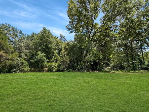 a view of a grassy field with trees