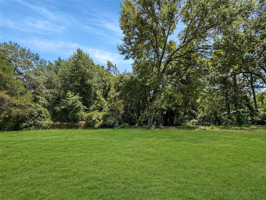 1005 Wood Canyon Road Tool, TX 75143 - Photo 26 of 26 a view of a grassy field with trees