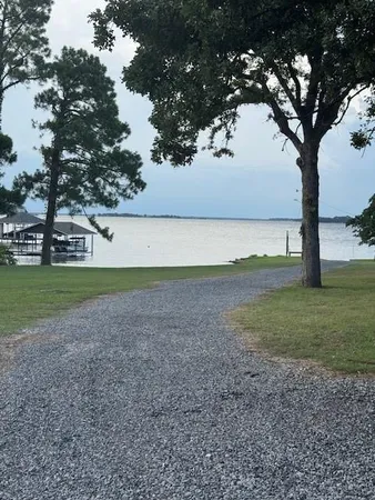 a view of a yard with a tree