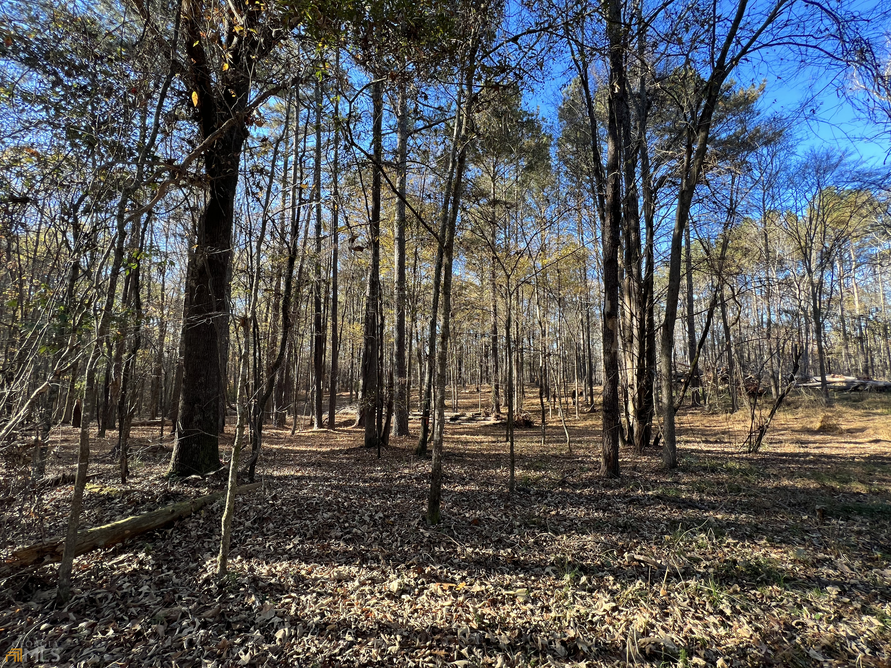6 Monroe Jersey Road Southeast Monroe, GA 30655 - Photo 1 of 1 Gallery Image 1