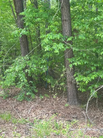 $75,000 | 1 New Delaughter Drive, North Augusta, SC 29860