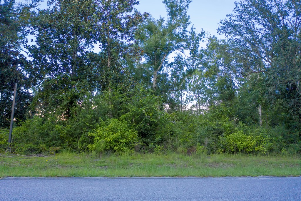 21 Seven Spgs Road Wewahitchka, FL 32465 - Photo 3 of 4