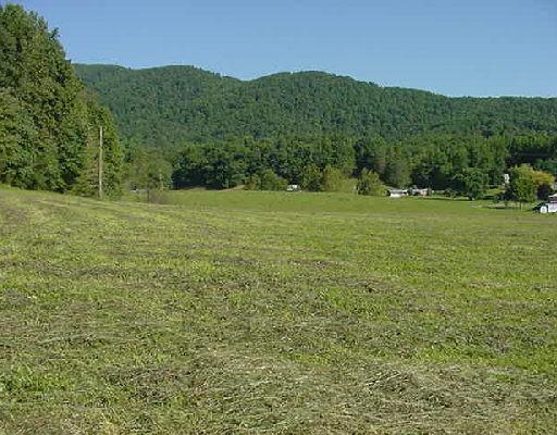 3285 Naff Road Boones Mill, VA 24065 - Photo 2 of 3 Listing Photo