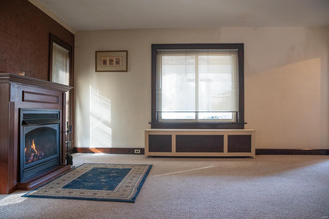 8 Kircher Place Belleville, IL 62220 - Photo 5 of 33